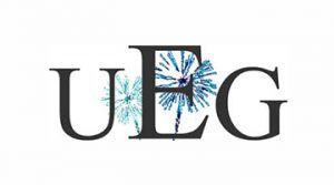 Partner logo for UEG HOLLAND