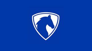 Partner logo for Blue Vapours